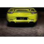 TechArt Porsche 911 Carrera (991) (Valved) Exhaust